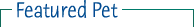 Featured Pet