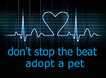 don't stop the beat, adopt a pet graphic